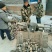 长白山灵芝孢子粉散装头道粉产地直发好欢迎咨询下单