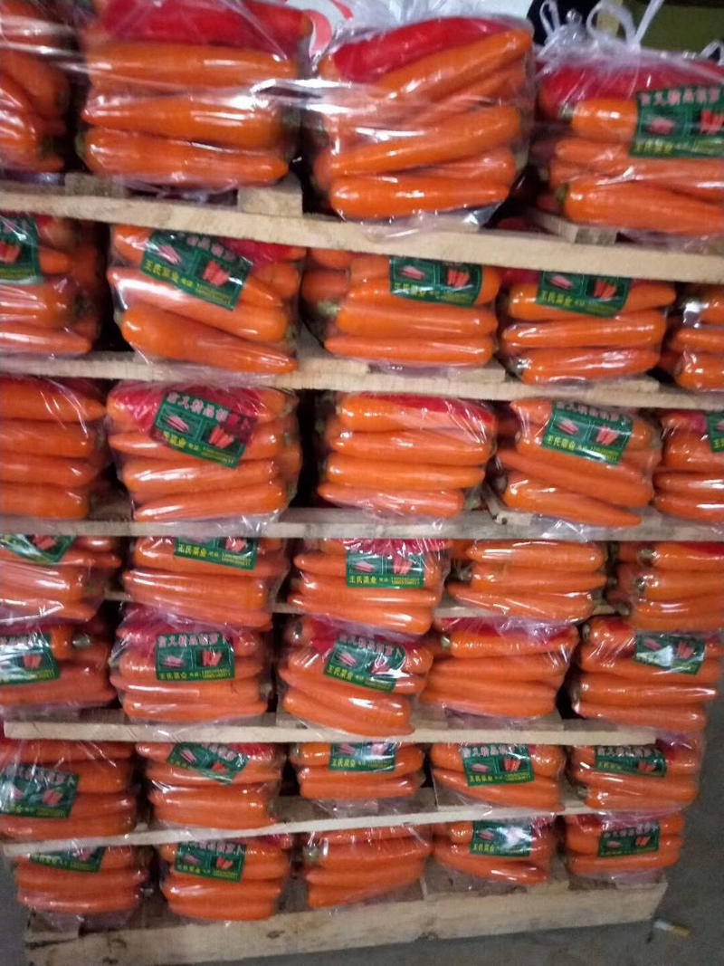 胡萝卜山东精品红萝卜产地直供货源充足规格齐全诚信经营