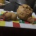 鸡宝