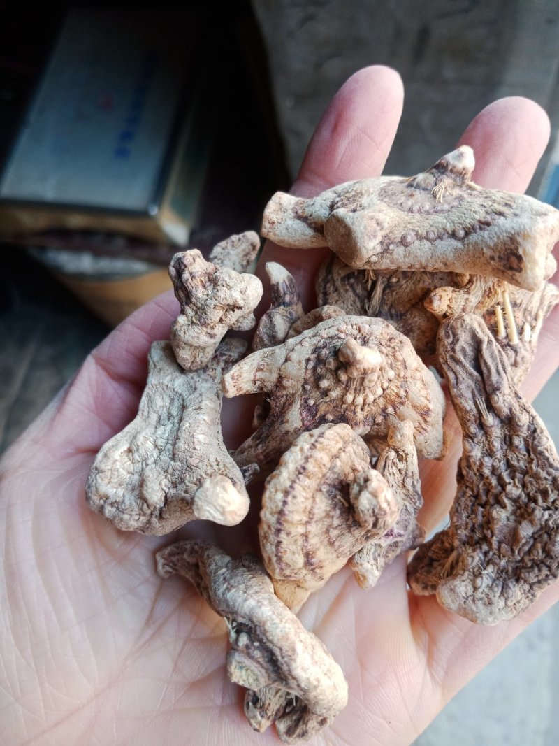 白芨三叉白芨个云南贵州批发零售各种中药材