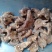 白芨三叉白芨个云南贵州批发零售各种中药材