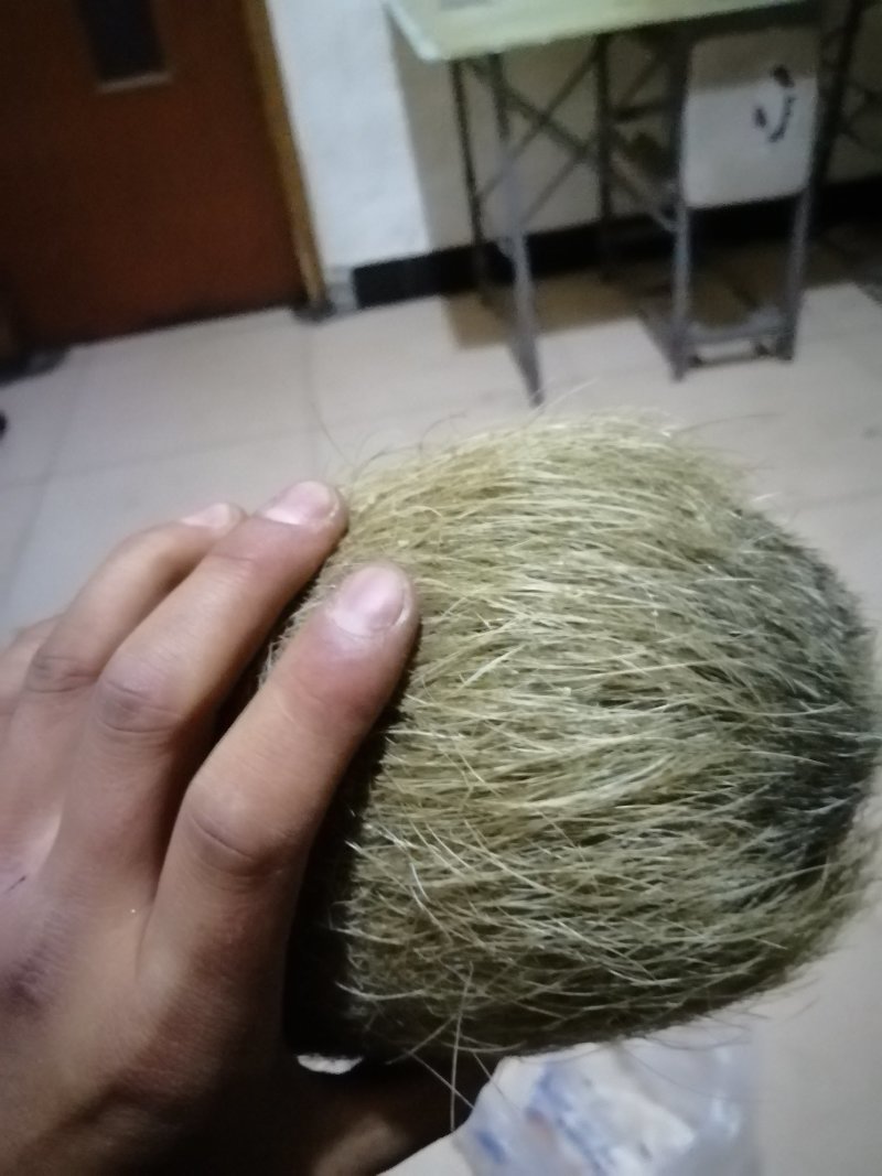 猪宝猪砂