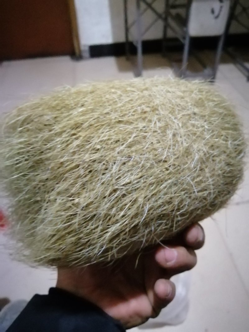 猪宝猪砂