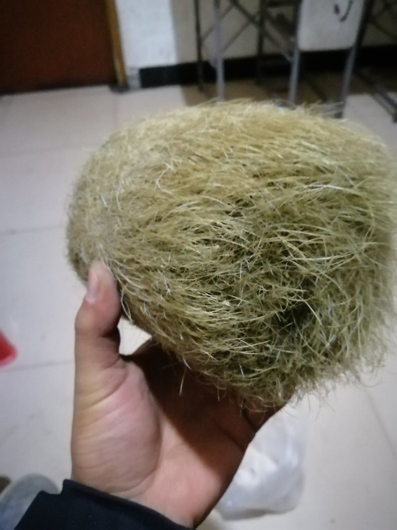 猪宝猪砂