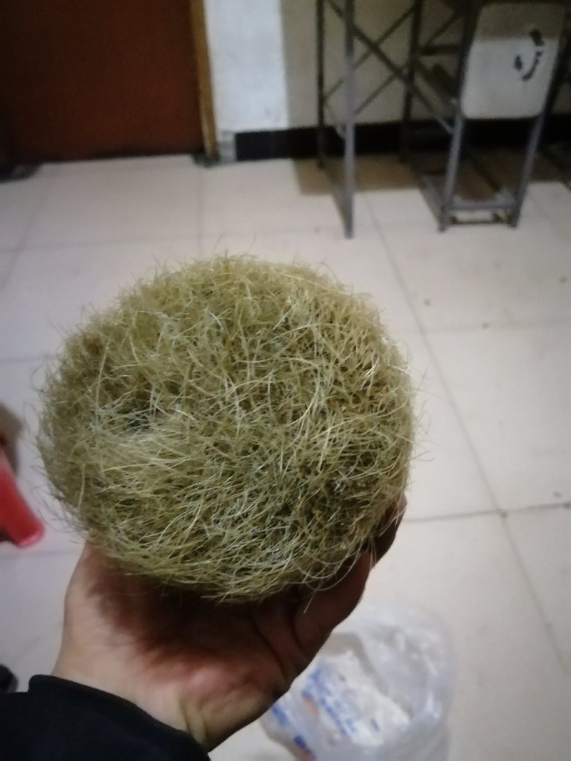 猪宝猪砂