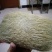 猪宝猪砂