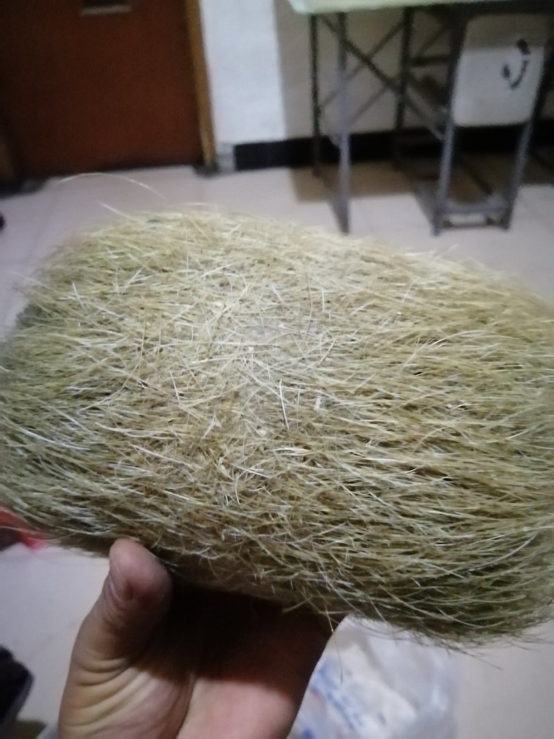 猪宝猪砂