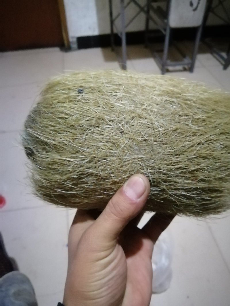 猪宝猪砂