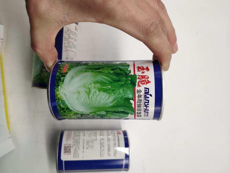全年耐抽苔生菜种籽半包心四季播生菜原装发货支持线上交易