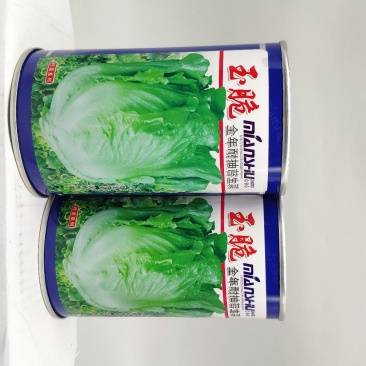 全年耐抽苔生菜种籽半包心四季播生菜原装发货支持线上交易