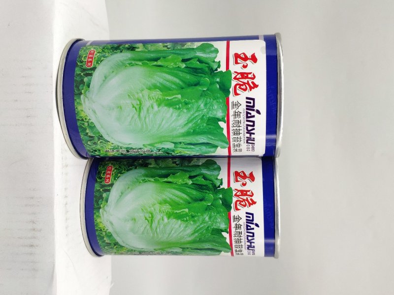 全年耐抽苔生菜种籽半包心四季播生菜原装发货支持线上交易