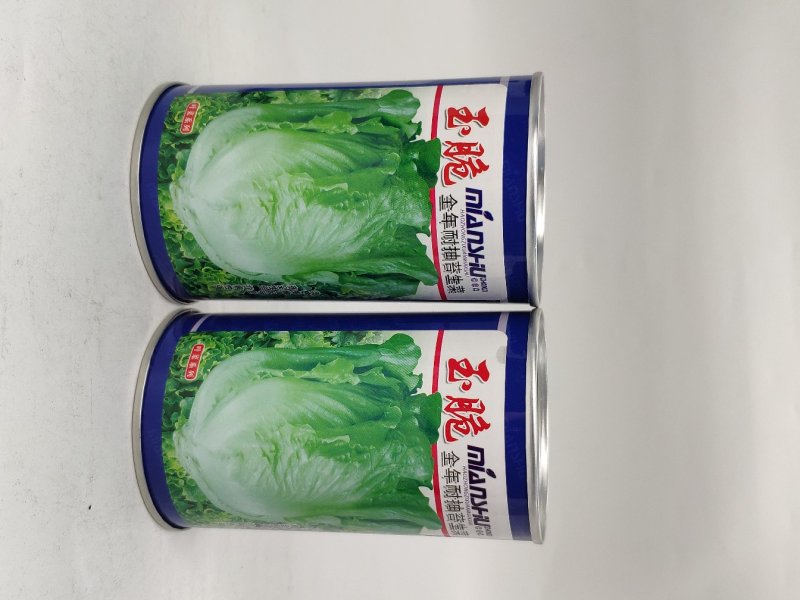 全年耐抽苔生菜种籽半包心四季播生菜原装发货支持线上交易