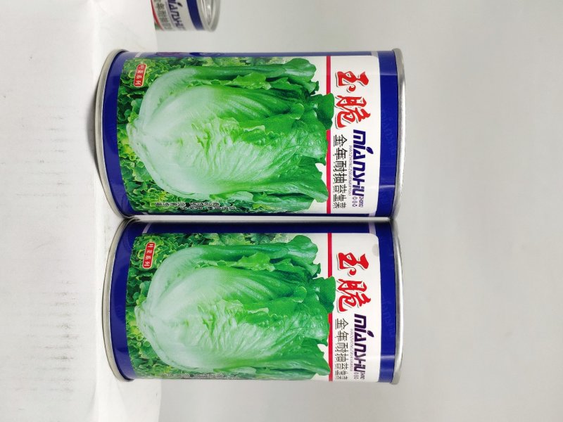 全年耐抽苔生菜种籽半包心四季播生菜原装发货支持线上交易