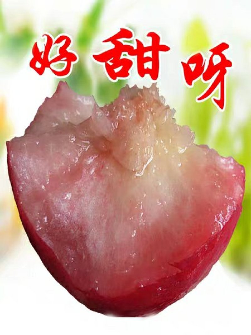 明年结果苗，多个品种水蜜桃，甜度高，水分足，