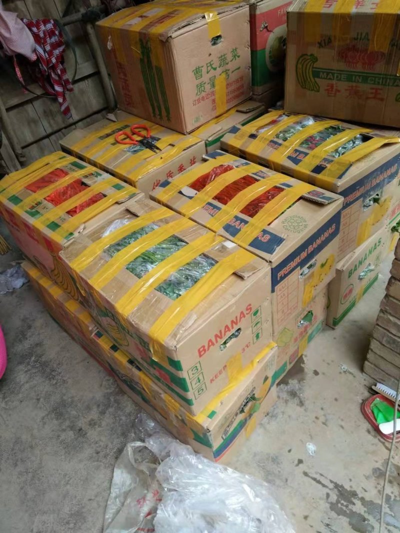 杨凌优质原种脱毒红薯苗，（秦4号.秦5号.西瓜红.紫薯）
