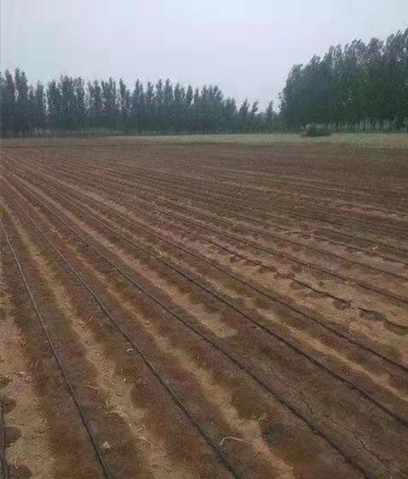 滴灌带旁通阀，阀门，滴灌配件，接头，旁通开关