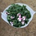 大盆仙客来带花发货室内花卉观花植物