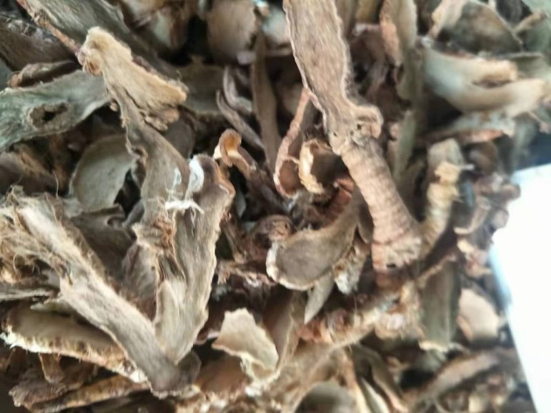毛之母，常年批发供应各种规格毛知母中药材