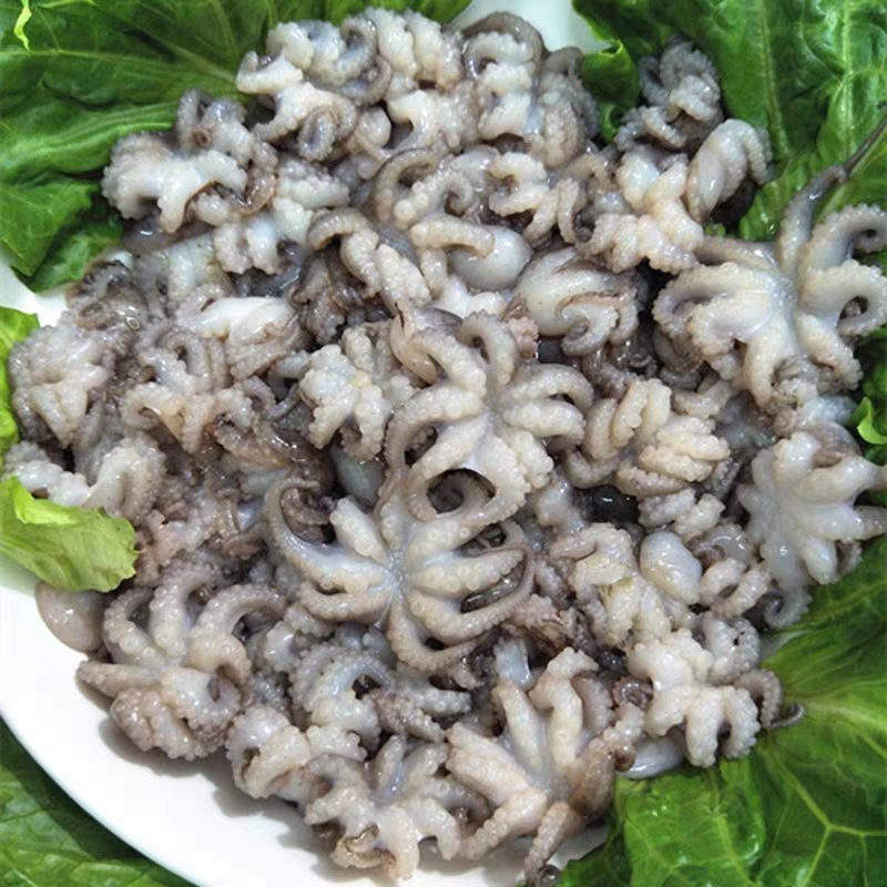 新鲜迷你八爪鱼海鲜冷冻小章鱼八抓鱼10斤火锅食材专用
