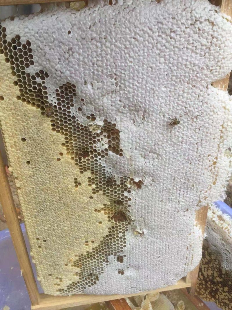 蜂蜜