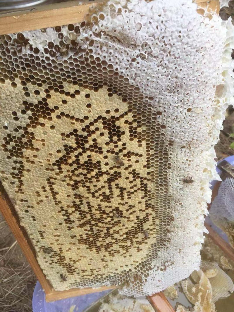 蜂蜜