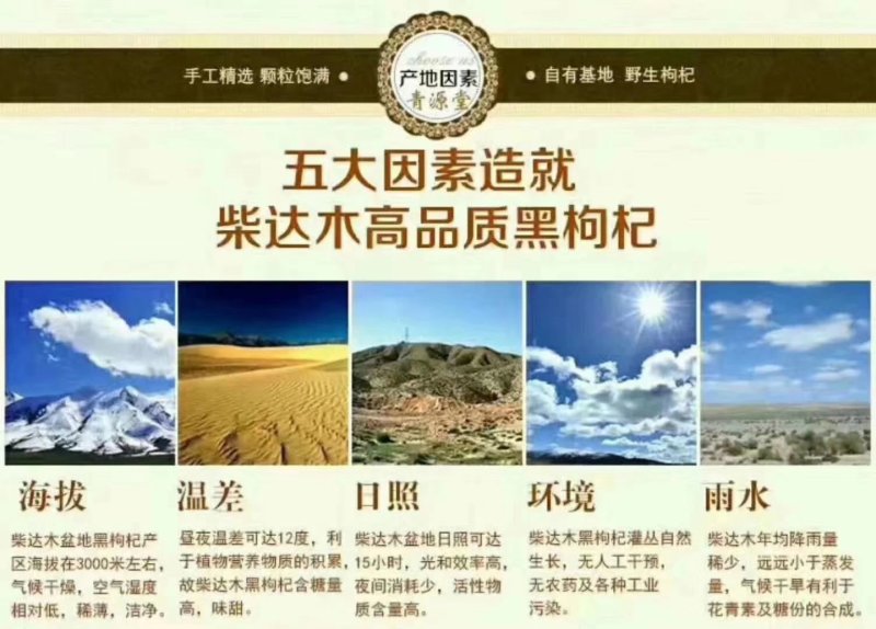 野生黑枸杞5瓶半斤礼盒装