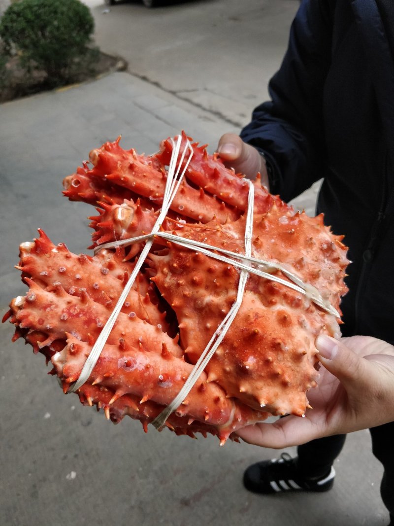 智利熟冻长刺帝王蟹饱满优质