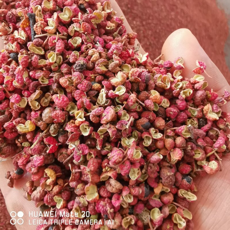 陕西韩城大红袍花椒特级干