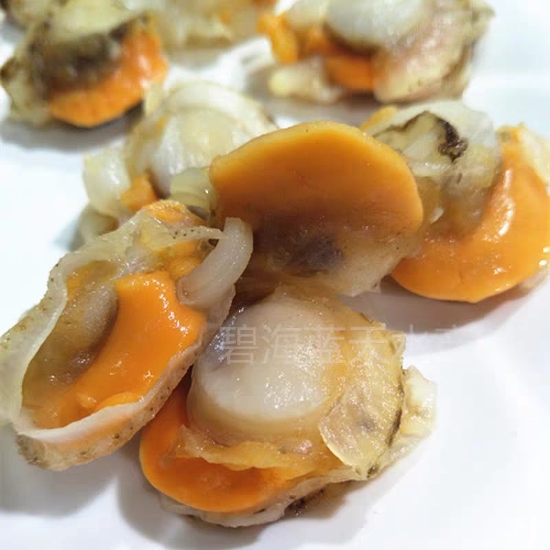 10斤鲜活冷冻新鲜扇贝肉毛蛤肉扇贝海鲜水产大扇贝肉超大