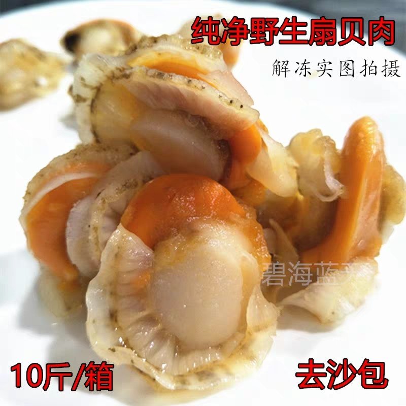 10斤鲜活冷冻新鲜扇贝肉毛蛤肉扇贝海鲜水产大扇贝肉超大