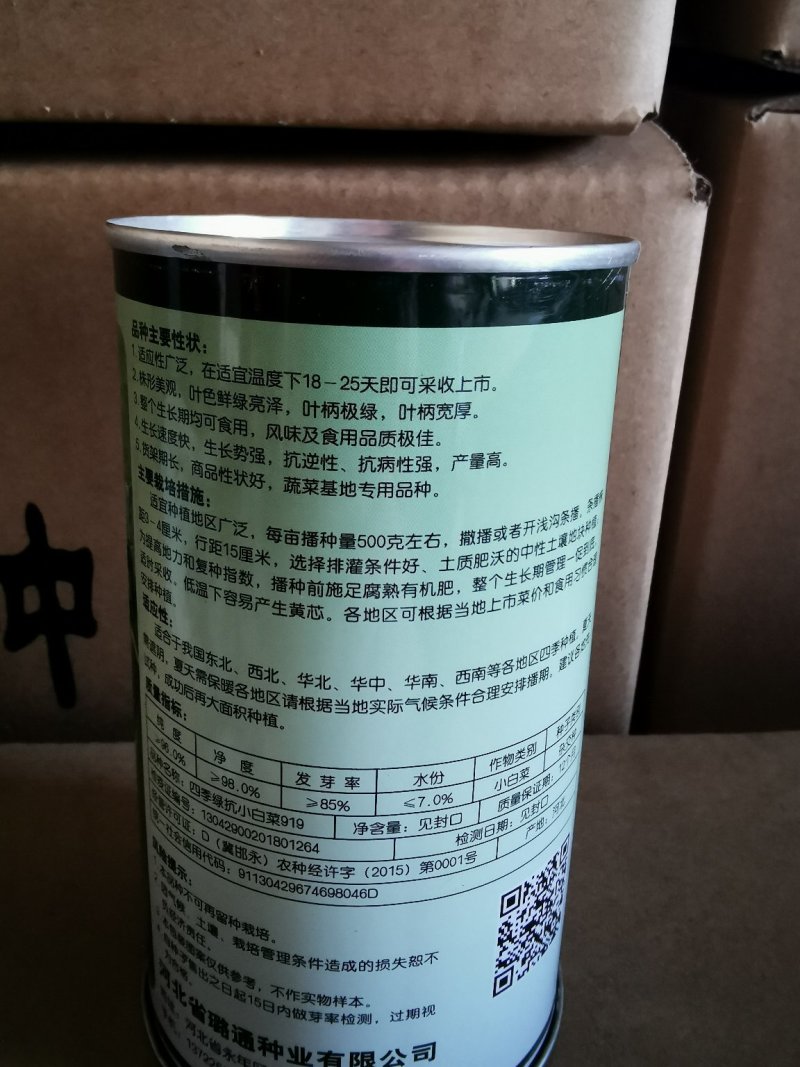青梗无毛小白菜菜园基地蔬菜小白菜种子生长速度快高抗