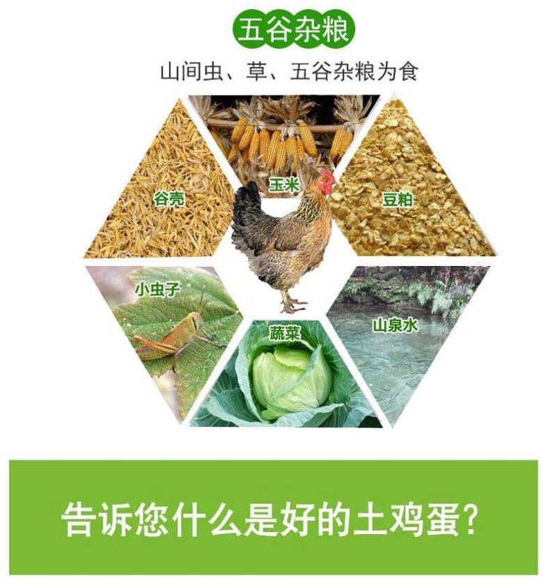【一件代发】顺丰包邮正宗土鸡蛋山林散养土鸡蛋新鲜柴鸡蛋