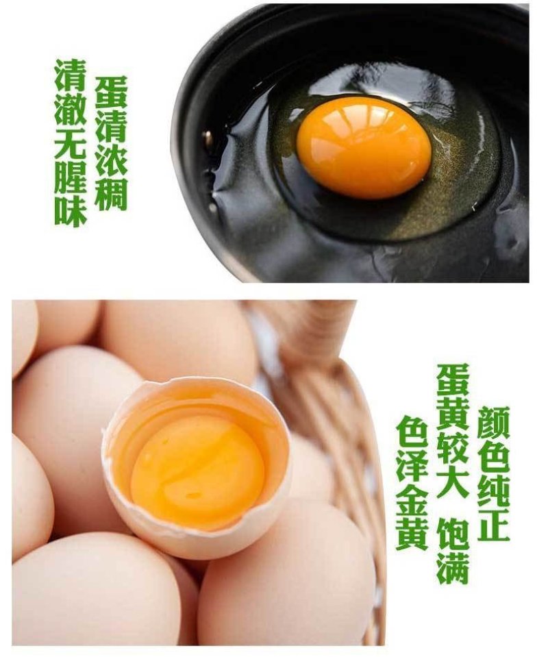 【一件代发】顺丰包邮正宗土鸡蛋山林散养土鸡蛋新鲜柴鸡蛋