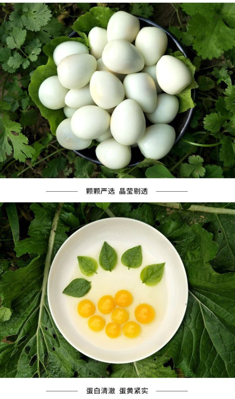 【聚便宜】基地直发鹌鹑蛋新鲜生农家正宗杂粮喂养