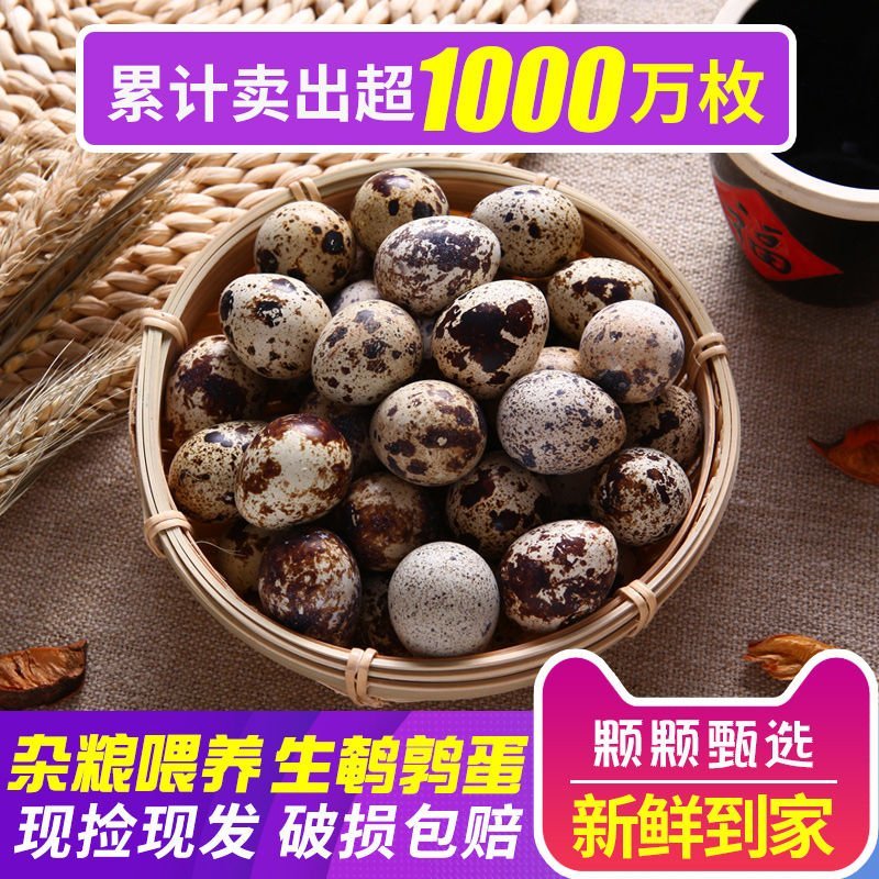 【聚便宜】基地直发鹌鹑蛋新鲜生农家正宗杂粮喂养