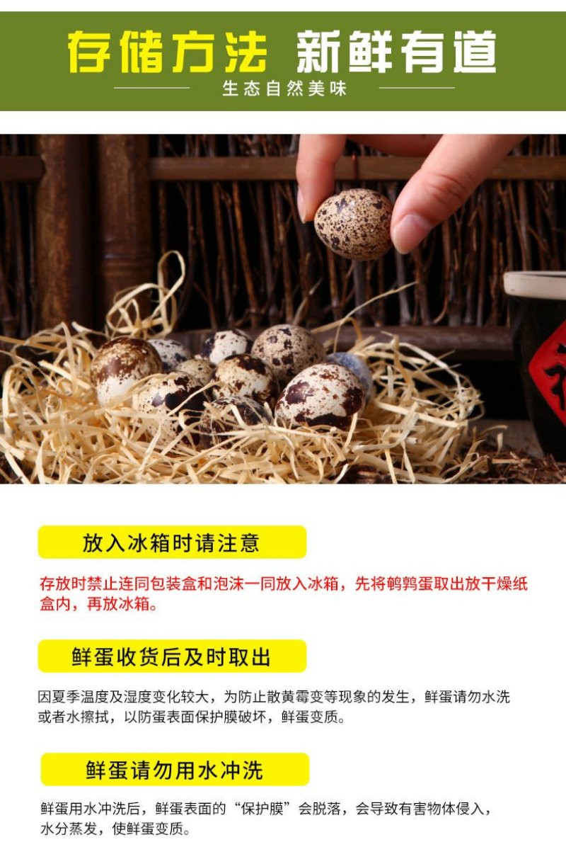 【聚便宜】基地直发鹌鹑蛋新鲜生农家正宗杂粮喂养