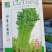 四季小香芹香芹种子菜园基地蔬菜种子生长速度快纤维少