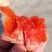【一件代发】新鲜柿饼特级降霜柿饼农家柿子饼吊柿子