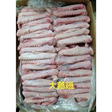 冷冻新鲜鹅翅鹅翅膀生鹅肉干净无毛20斤苏浙沪皖