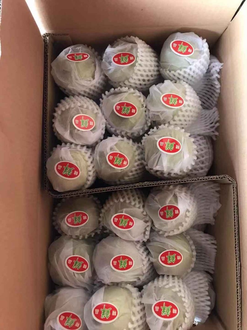 红香酥，香梨，新上市，大量有货，诚信代办