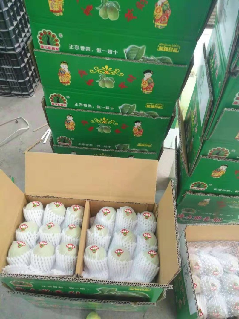 冷库精品红香酥梨大量出库，精品盒包装，规格齐全。