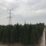 【有好货】基地蜀桧量大全国发货各种规格