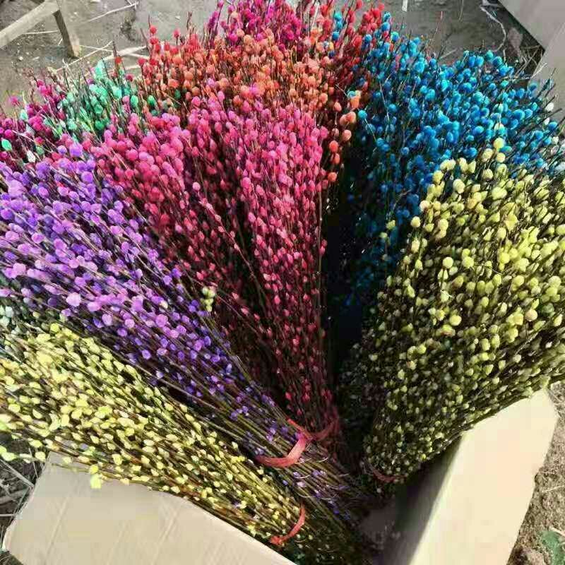 银柳，非常漂亮哦。80厘米高5色可选玫红粉蓝紫绿色