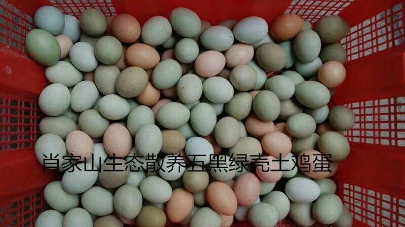80后阿姨大山散养土鸡蛋
