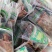安哥拉卡宾达树皮《正品保证》厚皮【包邮】