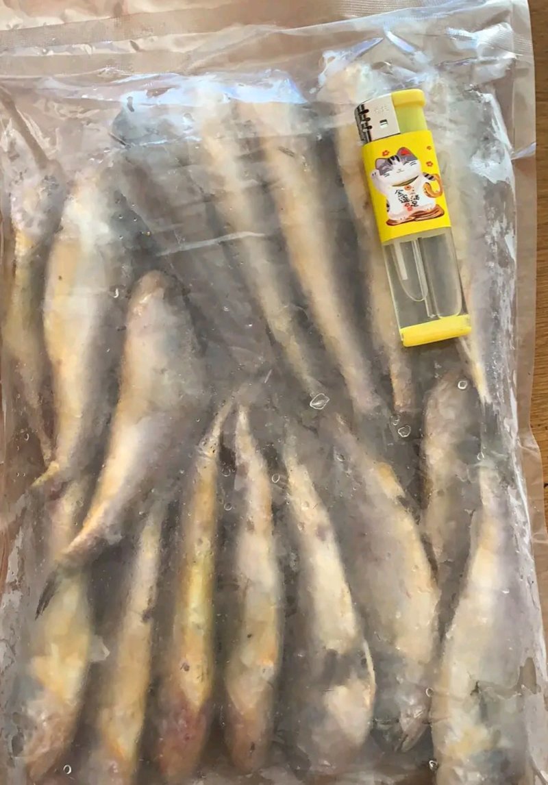 【包邮】新鲜船冻小黄鱼码头直发烧烤专供批发