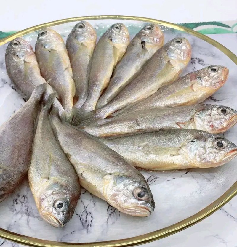 【包邮】新鲜船冻小黄鱼码头直发烧烤专供批发