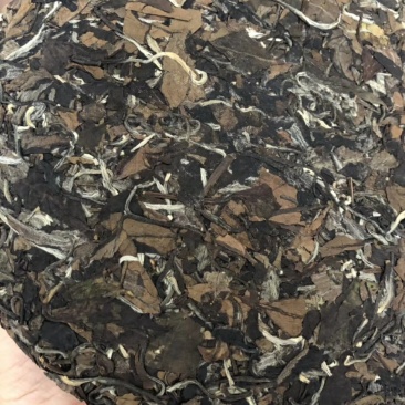福鼎白茶陈年老白茶