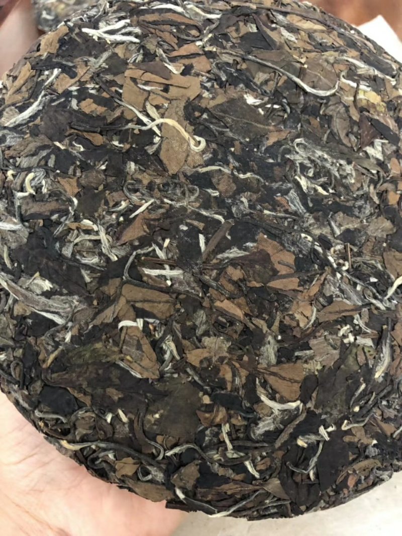 福鼎白茶陈年老白茶
