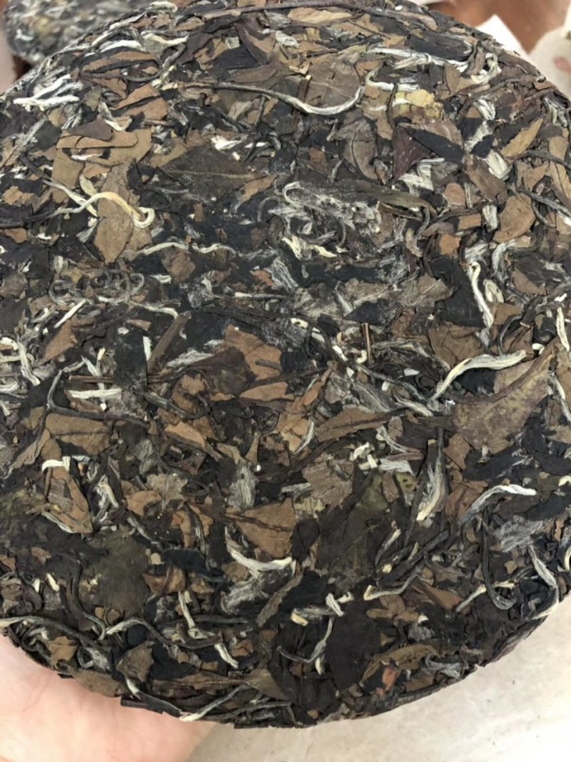 福鼎白茶陈年老白茶